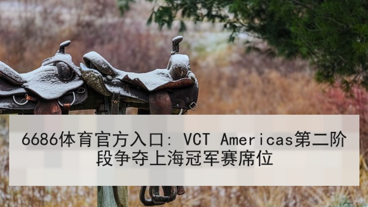 6686体育官方入口: VCT Americas第二阶段争夺上海冠军赛席位