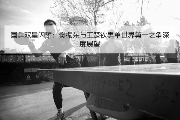 国乒双星闪耀：樊振东与王楚钦男单世界第一之争深度展望（6686.com）