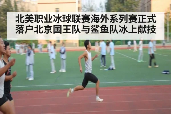 北美职业冰球联赛海外系列赛正式落户北京国王队与鲨鱼队冰上献技